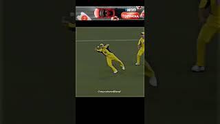 Unbelievable Catches In Cricket ️