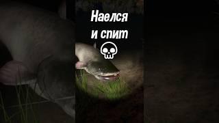 УСАТЫЙ ВЕЛИКАН СОМ ТРОФЕЙ РР4 Русская Рыбалка 4 #shorts #рр4 #ахтуба #русскаярыбалка4 #трофей #сом