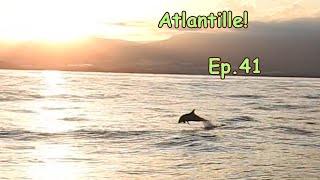 Sailing video. Leaving for the Atlantic Ep.41