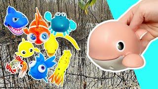 Learn Sea Animal Names & Facts at the Woodland Pond for Kids: Whale Spider Crab Cuttlefish Shark