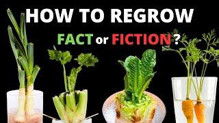 HOW TO Regrow Vegetables from Scraps -  Does it Work?