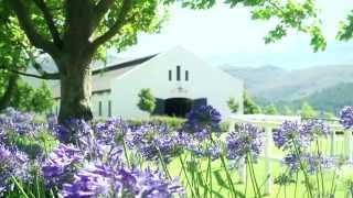 Drakenstein Stud Farm - Home of the L'Ormarins Queen's Plate