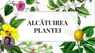 Alcătuirea plantei