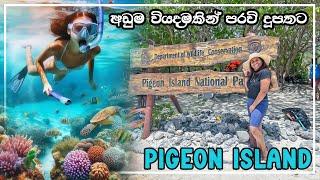 Pigeon Island snorkeling sri lanka | පරවි දූපත | trincomalee | nilaveli beach #snorkeling #travel