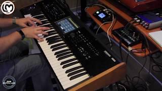 Korg Kronos 2 Preset Part. 1 | No Talking |