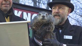 Groundhog Day 2025 Prediction: Punxsutawney Phil DOES see his shadow