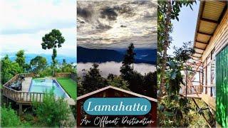 Lamahatta Homestay With Swimming Pool | Eco Farm Resort | Offbeat | Darjeeling | TSG TRIPPER