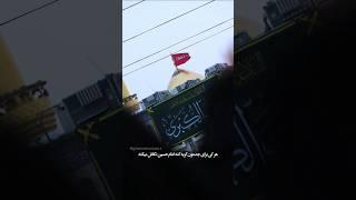 نگاه ویژه - سید محمد غروی