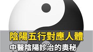 陰陽五行對應人體 中醫陰陽診治的奧秘｜ 連永祥 醫師｜306｜談古論今話中醫｜中醫知識CooL