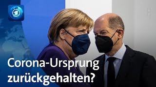 Coronavirus: Hielt das Kanzleramt BND-Einschätzung zu Laborunfall zurück?