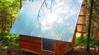 Deek's $300 Vermont A-Frame Cabin (Tiny House Workshop)- w/WOOD TURTLE sighting