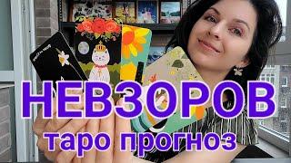 Александр Невзоров: таро прогноз на ближайшие 2 года