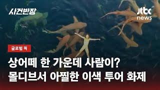 상어떼 한 가운데 사람이?…몰디브서 아찔한 이색 투어 화제 / JTBC 사건반장