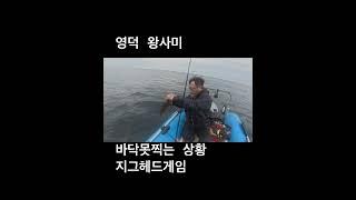 영덕 볼락 #왕사미 #볼락 #영덕볼락 #볼락루어 #사진리