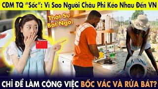 CĐM Trung Quốc “sốc”: Vì sao hàng nghìn người Châu Phi kéo nhau đến VN làm bốc vác, rửa bát?