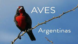 Aves Argentinas