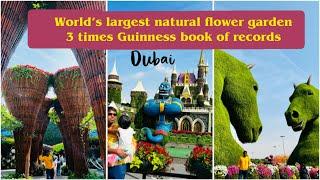 Dubai Miracle garden 2022 - 2023 | Disney Avenue Genie ‍️ Smurfs Emirates A380 flower decoration