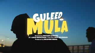 GULEED - Mula