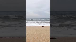 (24.01.18) #대천해수욕장 #겨울바다