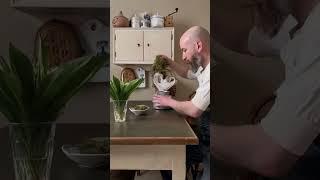 #cozy #calming #comfort #cottagecore #asmr #vintagevibes #vintage #satisfyingvideos #relaxing