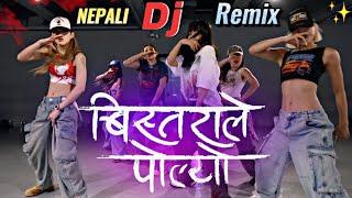 Bistarale Polyo • Shanti Shree Pariyar • Nepali Dj • Hari Giri Bimarshi • Bistarale Polyo Dj