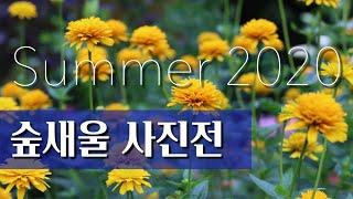 숲새울 사진전 2020년 Summer / Feverfew / Coreopsis / Hydrangea /