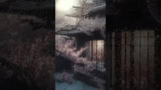 梅花爱雪雪不知，开在雪中做情痴。芳心碎落三千瓣，片片香魂皆成诗。Plum Blossom Loves Xuexue I Don't Know