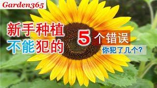 【种菜】新手种菜最常犯哪5个错误？ The 5 most common mistakes that novices make