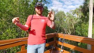 Best Live Bait Rigs for Snook & How To Use Them