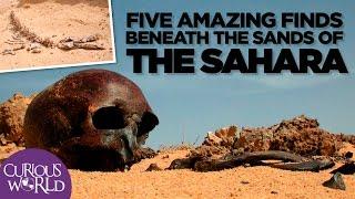 5 Amazing Finds Beneath the Sands of the Sahara