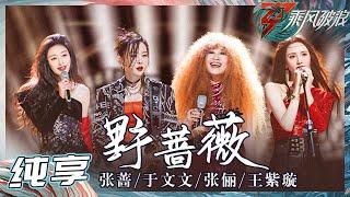 【姐姐SHOWTIME】于文文/张蔷张俪/王紫璇《野蔷薇》真的太惊艳了！不允许还有人没看到！ ​ 《乘风破浪》Sisters Who Make Waves S3 EP3丨Hunan TV