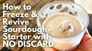 How To Freeze And Revive Sourdough Starter | NO DISCARD | Insanely Easy Sourdough 101