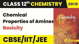 Chemical Properties of Amines - Basicity | Class 12 Chemistry Chapter 13