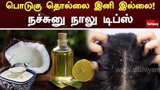 பொடுகு தொல்லை இனி இல்லை! நச்சுனு நாலு டிப்ஸ் | Dandruff | Web Special | Sathiyam Tv