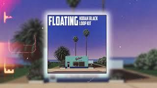 (10+) [FREE] Kodak Black Loop Kit "FLOATING"