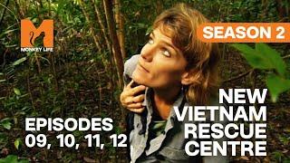 New Rescue Sanctuary in Monkey Life | S02 E09, 10, 11 & 12 | Full Episodes