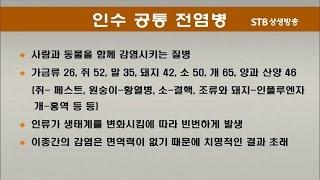 인수공통전염병이란 사람에게도 옮는 동물 전염병이다 인간에 면역체계가 없어 속수무책으로 당한다 페스트 결핵 홍역 신종플루 사스 조류독감