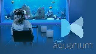 Nesplora Aquarium