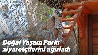 Doğal Yaşam Parkı ziyaretçilerini ağırladı | Kepez