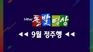 [돌발영상] 2024년 9월 정주행/ YTN