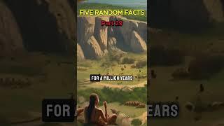 5 Random Fun Facts  [PART 29] #factsshorts #randomfacts #funfactsdaily