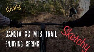 Gånsta XC MTB trail. Enjoying Spring