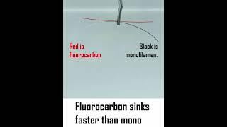 How to recognize FLUOROCARBON fishing line? Two sure ways!