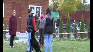 Vrisco Niox (a part of BH exam) - 29.10.2011