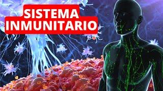 The Immune System: Parts, Functions, Immunity, Immune Cells, Diseases