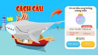 (Play Together) Cách Câu Cá Voi Đầu Cong Trắng Vương Miện