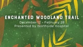 Enchanted Woodland Trail