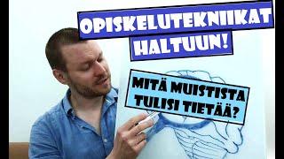 Opiskelutekniikat haltuun! Osa 1: Mitä muistista tulisi tietää?