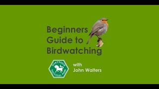 A Beginners Guide to Birdwatching