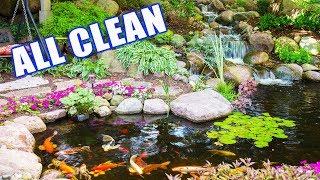 Residential POND Cleanout: The Step-by-Step Process!